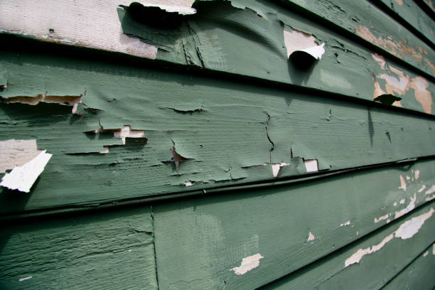 Best Siding Painting and Refinishing  in Bay Village, OH